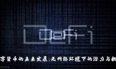 数字货币的未来发展：无网络环境下的潜力与挑