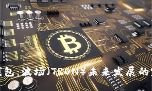 探秘TP钱包：波场（TRON）未来发展的完美结合