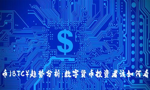 2024年比特币（BTC）趋势分析：数字货币投资者该如何看待未来发展？