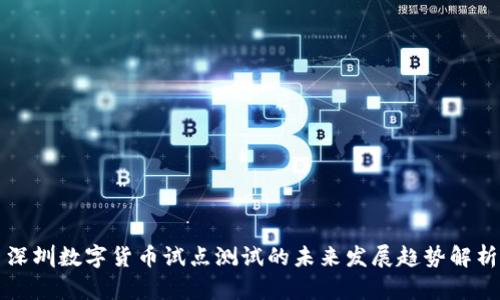 深圳数字货币试点测试的未来发展趋势解析