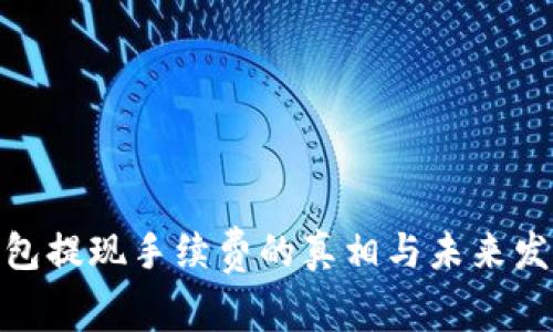 数字钱包提现手续费的真相与未来发展趋势