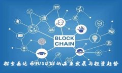 探索泰达币（USDT）的未来发展与投资趋势