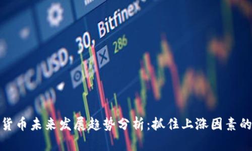 数字货币未来发展趋势分析：抓住上涨因素的脉搏