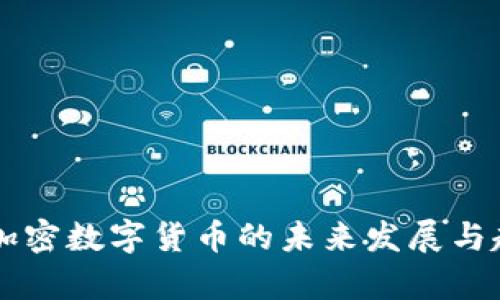 满星云加密数字货币的未来发展与趋势分析