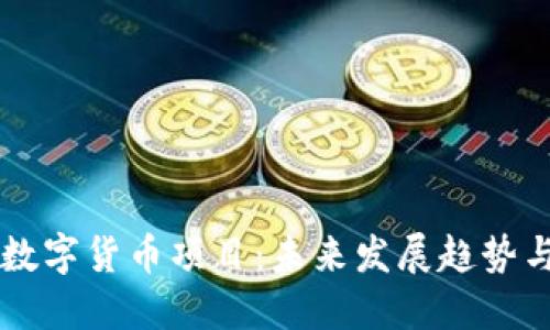 印度数字货币项目：未来发展趋势与挑战