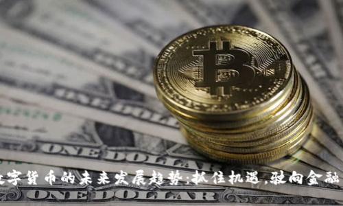 溪美数字货币的未来发展趋势：抓住机遇，驶向金融新纪元