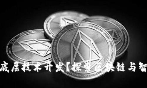t p钱包用什么底层技术开发？探索区块链与智能合约的未来 