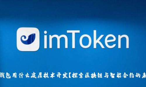 t p钱包用什么底层技术开发？探索区块链与智能合约的未来 