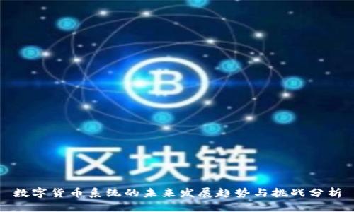 数字货币系统的未来发展趋势与挑战分析