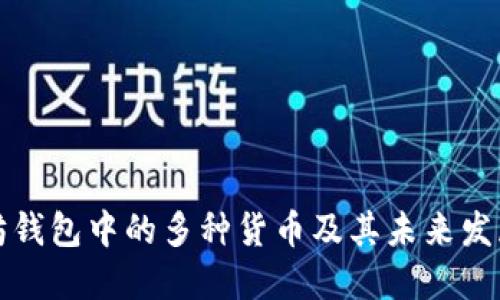 以太坊钱包中的多种货币及其未来发展趋势