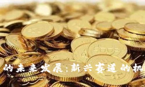 数字货币的未来发展：新兴赛道的机遇与挑战