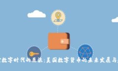 面对数字时代的巨浪：美国数字货币的未来发展