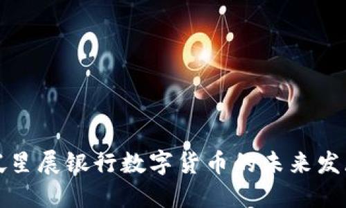 新加坡星展银行数字货币的未来发展趋势