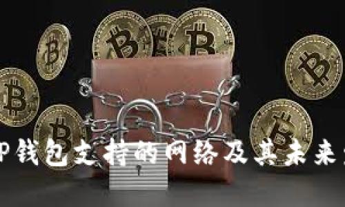 ### TP钱包支持的网络及其未来发展趋势