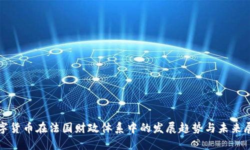 数字货币在法国财政体系中的发展趋势与未来展望