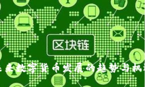 未来数字货币发展的趋势与机遇