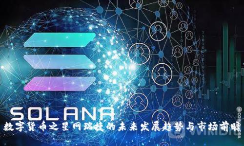 数字货币之星网瑞捷的未来发展趋势与市场前瞻
