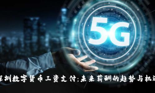 深圳数字货币工资支付：未来薪酬的趋势与机遇