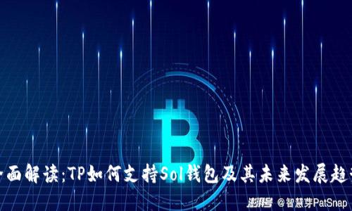 全面解读：TP如何支持Sol钱包及其未来发展趋势
