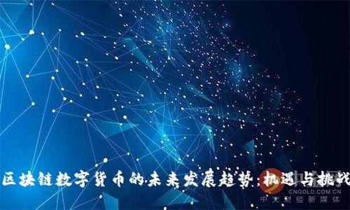区块链数字货币的未来发展趋势：机遇与挑战