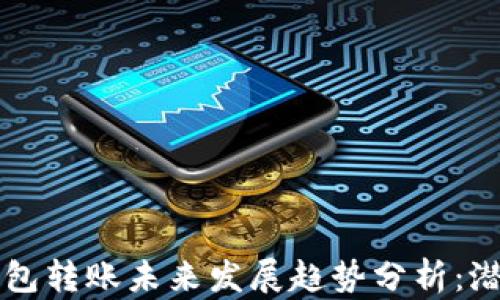 
以太坊钱包转账未来发展趋势分析：潜力与挑战