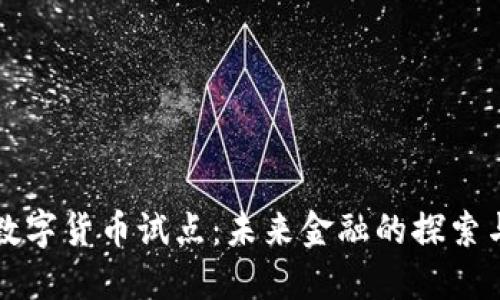 绍兴数字货币试点：未来金融的探索与趋势