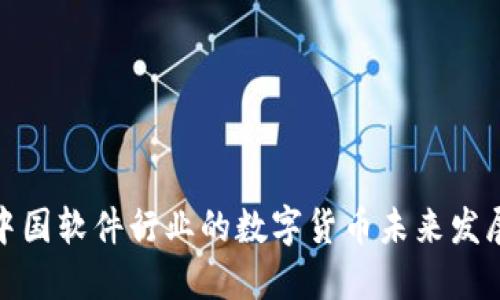 展望中国软件行业的数字货币未来发展趋势