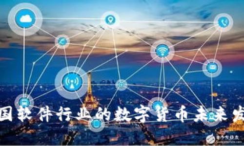 展望中国软件行业的数字货币未来发展趋势