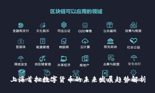 上海首批数字货币的未来发展趋势解析