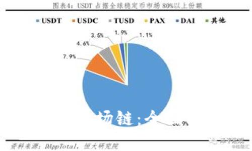 如何在TP钱包中添加波场链：全面指导与未来发展展望
