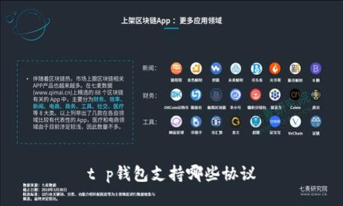 t p钱包支持哪些协议