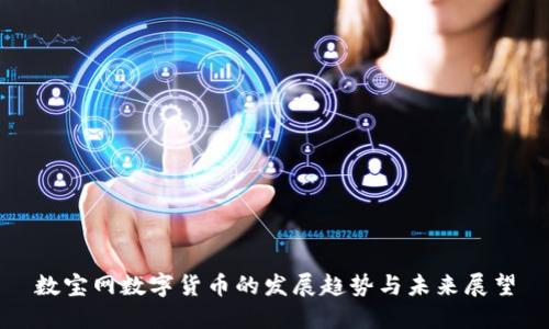 数宝网数字货币的发展趋势与未来展望