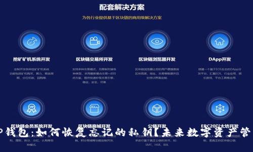 ### TP钱包：如何恢复忘记的私钥？未来数字资产管理的趋势