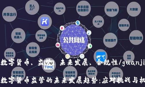   
企业数字货币, 监管, 未来发展, 合规性/guanjianci

企业数字货币监管的未来发展趋势：应对挑战与机遇