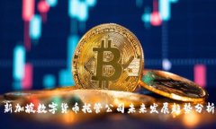 新加坡数字货币托管公司未来发展趋势分析