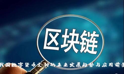 我国数字货币支付的未来发展趋势与应用前景