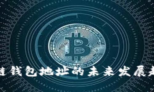 以太坊公链钱包地址的未来发展趋势与影响