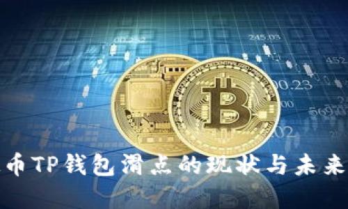 探讨虚拟币TP钱包滑点的现状与未来发展趋势