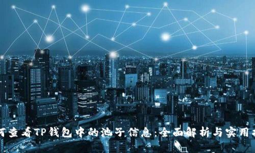 如何查看TP钱包中的池子信息：全面解析与实用指南