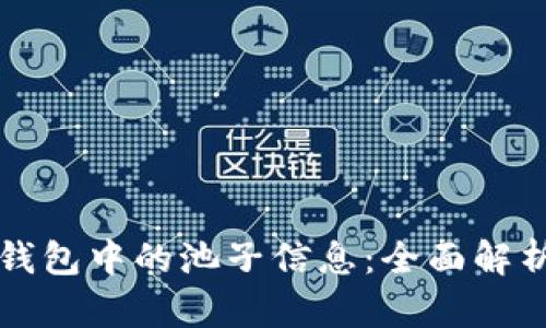 如何查看TP钱包中的池子信息：全面解析与实用指南