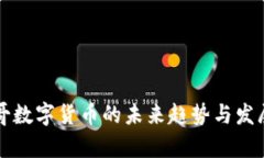 摩洛哥数字货币的未来趋势与发展动态
