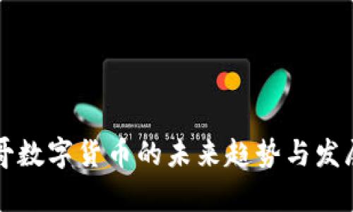 摩洛哥数字货币的未来趋势与发展动态