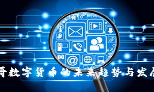摩洛哥数字货币的未来趋势与发展动态