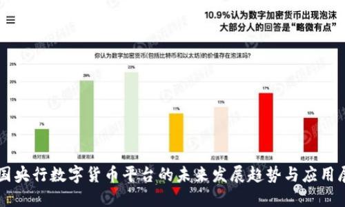 中国央行数字货币平台的未来发展趋势与应用展望