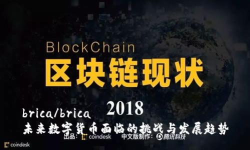 brica/brica
未来数字货币面临的挑战与发展趋势