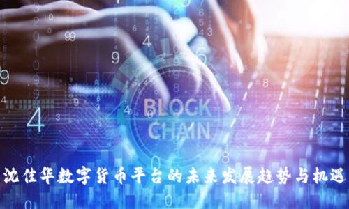 沈佳华数字货币平台的未来发展趋势与机遇