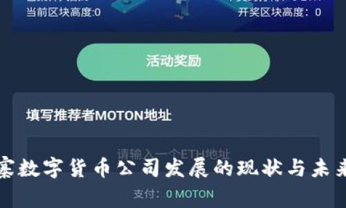 柬埔寨数字货币公司发展的现状与未来趋势