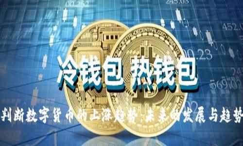 如何判断数字货币的上涨趋势：未来的发展与趋势分析