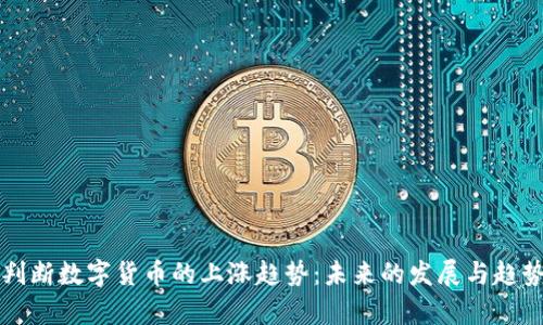 如何判断数字货币的上涨趋势：未来的发展与趋势分析