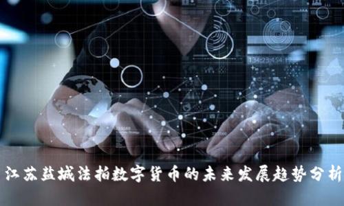 江苏盐城法拍数字货币的未来发展趋势分析